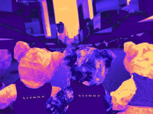 Technocrat Bears in the Melbourne CBD