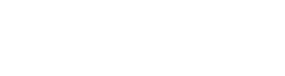 Brisbane Airport logo