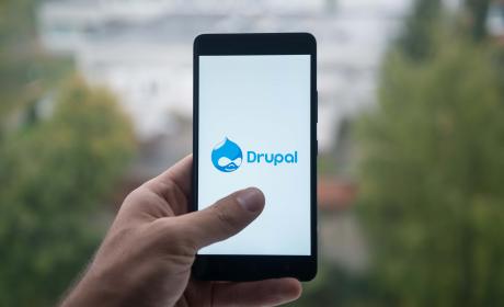 Drupal Dev